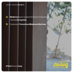 357481599_580441967586283_3733725947906262274_n